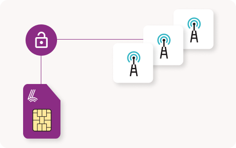 Alternative networks