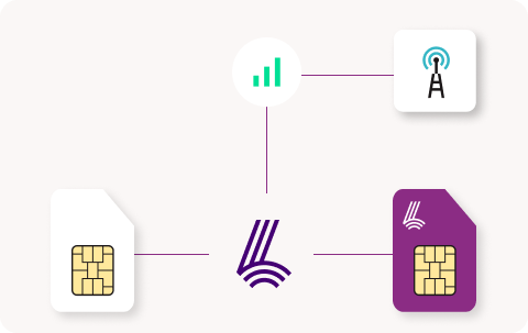 Lyfo Backupsim Improved accessibility