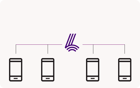 Lyfo Insights Connected