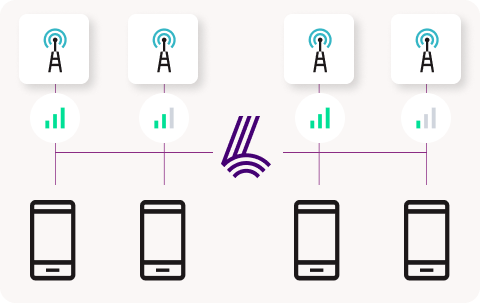 Lyfo Insights Gather data