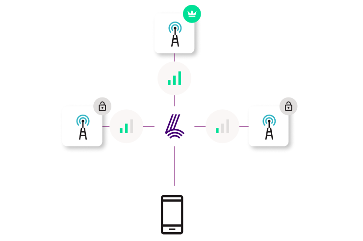The solution - Lyfo Net