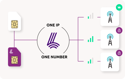 Lyfo Net Seamless Switching