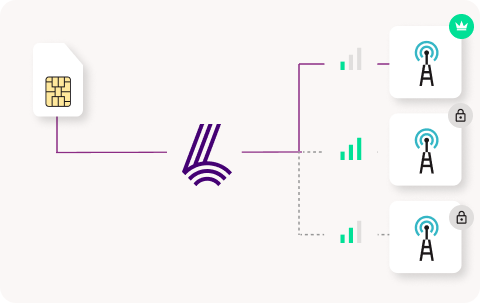 Lyfo Net available networks