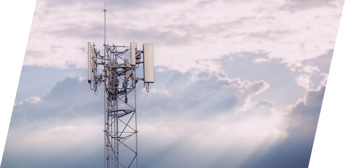 Lyfo Insights - Hero